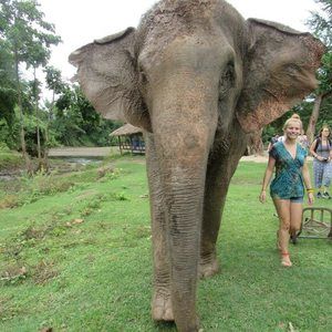 Meet your Posher, Frances